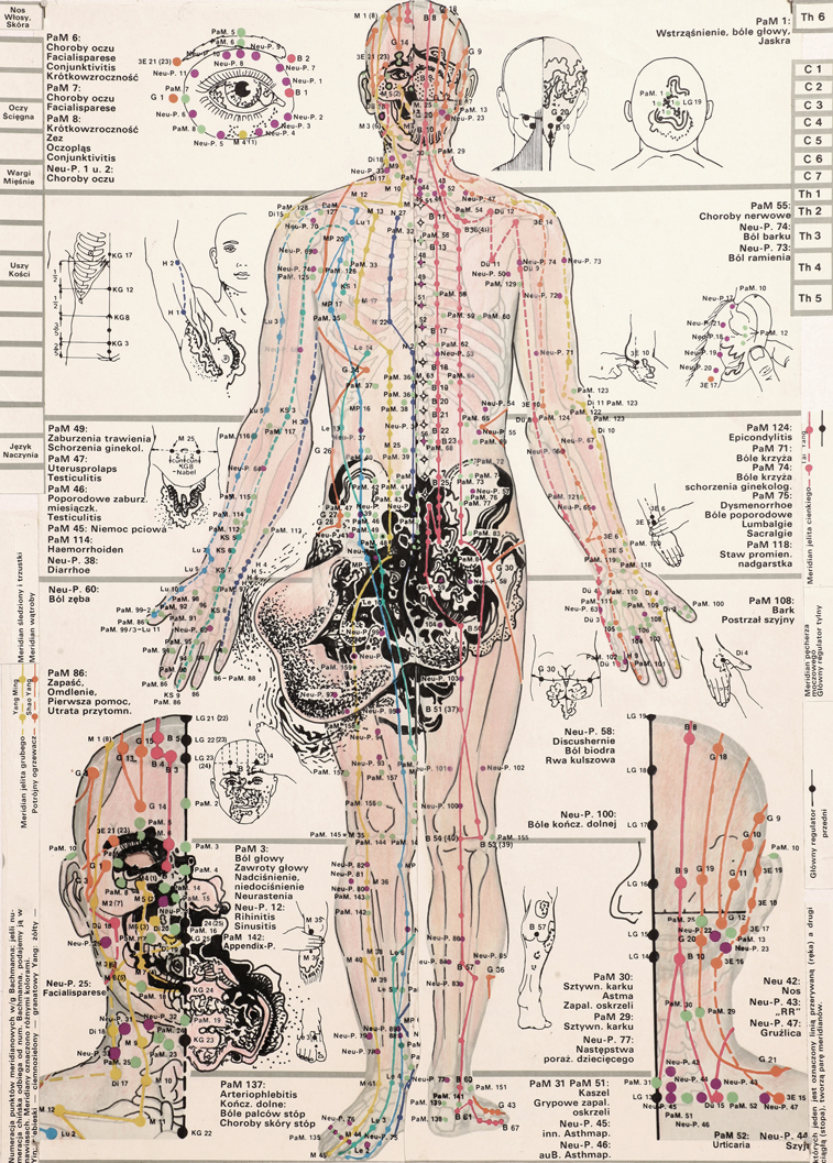 ONANIA / Mutation Study 112 / 2012 / 32 x 46 cm / Ink and crayon on anatomy board